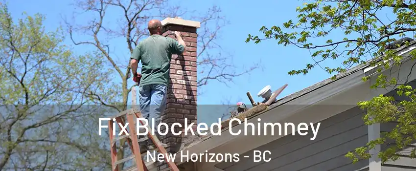  Fix Blocked Chimney New Horizons - BC
